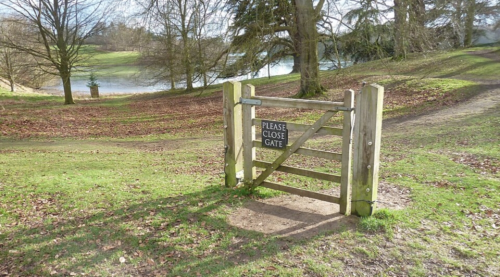 Chesterton's Fence: Don't Delete What You Can't Explain