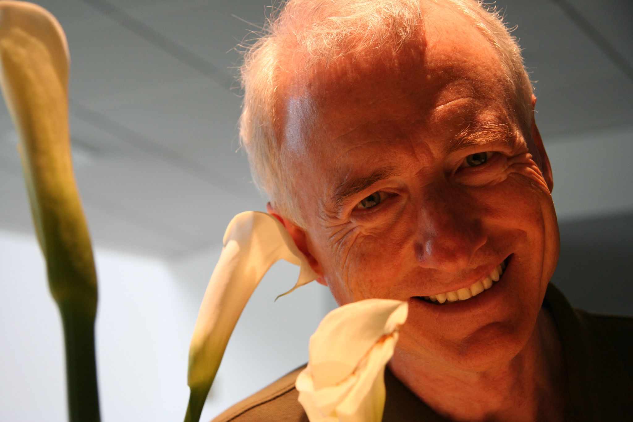 Tesler's Law: Complexity's Enduring Burden